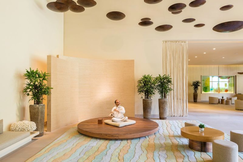 Vana Luxury Spa India